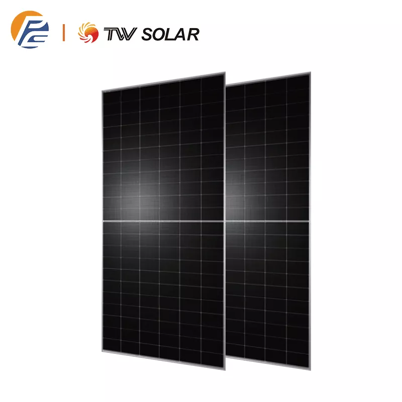Twmnh-66hdpng - Solarplaza Two dark solar panels standing side by side on a white background, displaying grid lines and a slight tilt, with company logos in the top-left corner. - Solarplaza